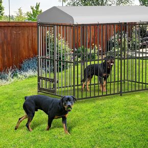 Large Dog Kennel Outside,10x10x6 FT Heavy-Duty Outdoor Cage with Roof and Lock,Covered Outside Kennel,for Medium and Large Dogs,Easy Assembly in Saudi Arabia