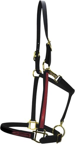 Country Pride 2-Tone .75 inch Beta Halter in Kuwait