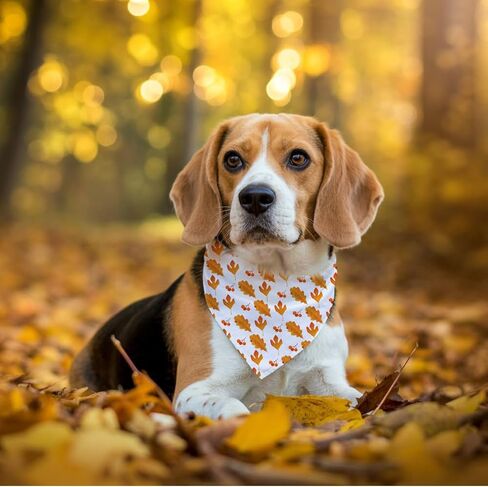 Fall Pet Bandana ، وشاح الكلب من Mom's Pumpkin Spice ، وشاح الكلب المريح المريح القابل للتعديل ، و Puppy Puppy Bandana Fancy ، kerchief الفريد من نوعه للكلاب in Saudi Arabia