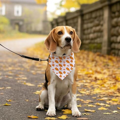 Fall Pet Bandana ، وشاح الكلب من Mom's Pumpkin Spice ، وشاح الكلب المريح المريح القابل للتعديل ، و Puppy Puppy Bandana Fancy ، kerchief الفريد من نوعه للكلاب in Saudi Arabia