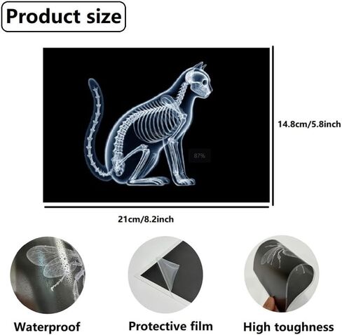16 Dinosaur Animal X-ray Set, Educational Science Set for Kids, Lightstand Accessories to Explore Skeletal Structure, Light and Shadow Zones. in Saudi Arabia