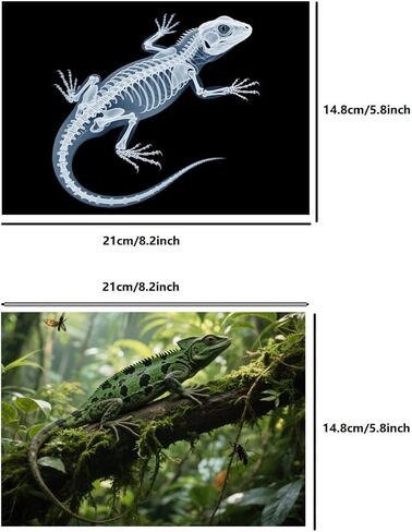 16 Dinosaur Animal X-ray Set, Educational Science Set for Kids, Lightstand Accessories to Explore Skeletal Structure, Light and Shadow Zones. in Saudi Arabia
