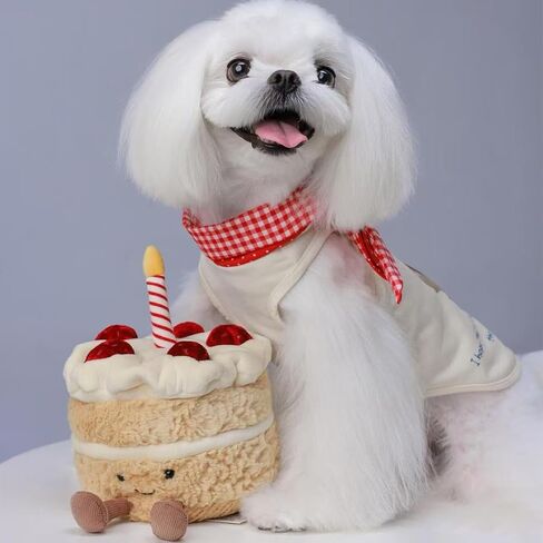Birthday Cake Plush Toy for Girls, Cute Birthday Plushies Pillow Food Stuffed Animals for Kids 8 Inch in Saudi Arabia