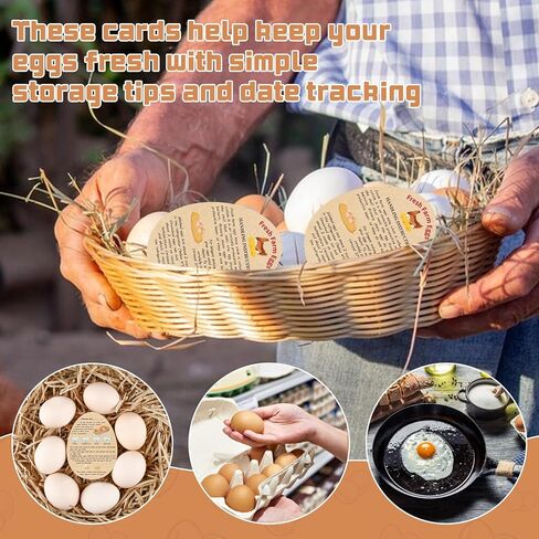 500 PCS مزرعة البيض الطازج ملصقات كرتون ملصقات 2 بوصة ملصقات تغليف البيض غير مغسول لدجاج بطة السمان in Saudi Arabia