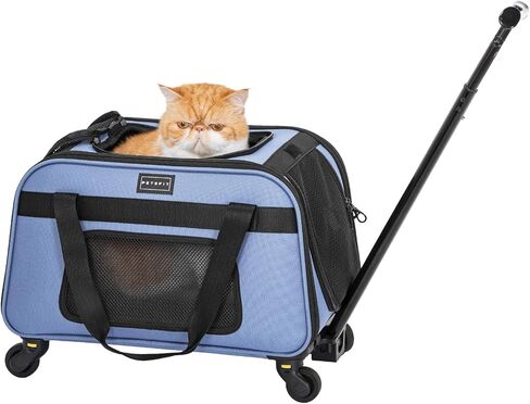 حاملة قطط Petsfit مع عجلات معتمدة من طيران ، حاملة كلب أليف مع عجلات للكلاب الصغيرة ، حاملة قطط القطط لقطب جرو القطط قابلة للطي وقبعة سفر للحيوانات الأليفة القابلة للطي ، أسود وأخضر in Kuwait