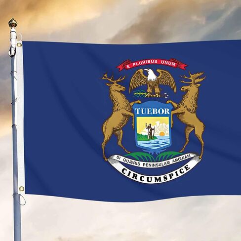 Michigan State Flag Blue Funny Banner 3x5FT Indoor Walls, Outdoor Gardens, Decks, Car, Flags Decorations in Saudi Arabia