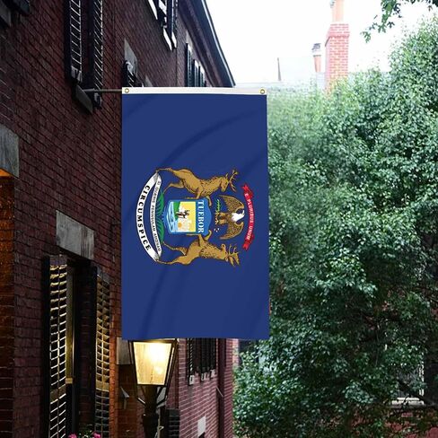 Michigan State Flag Blue Funny Banner 3x5FT Indoor Walls, Outdoor Gardens, Decks, Car, Flags Decorations in Saudi Arabia