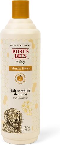 Burt’s Bees for Pets Itch Spray with Manuka Honey and Chamomile for Dogs - Naturally Derived Ingredients, Formulated Without Artificial Fragrances, Sulfates, Colorants, 10 Fl Oz in Saudi Arabia