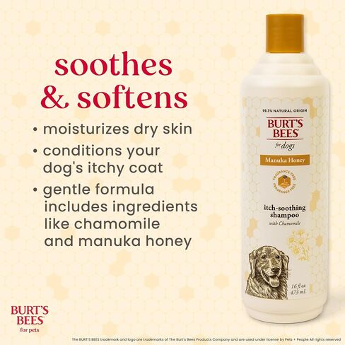 Burt’s Bees for Pets Itch Spray with Manuka Honey and Chamomile for Dogs - Naturally Derived Ingredients, Formulated Without Artificial Fragrances, Sulfates, Colorants, 10 Fl Oz in Saudi Arabia