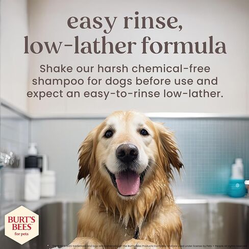 Burt’s Bees for Pets Itch Spray with Manuka Honey and Chamomile for Dogs - Naturally Derived Ingredients, Formulated Without Artificial Fragrances, Sulfates, Colorants, 10 Fl Oz in Saudi Arabia