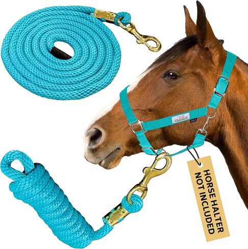 Prairie Horse Supply 10ft Poly Red مع رابط Snap Brass ، حبل الرصاص الأزرق ، الرصاص ، الرصاص البولي بروبيلين ، حبل شاق ، حبل ناعم ، حصان متدرب - مثالي لاستخدام الفروسية in Saudi Arabia