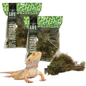 The Habitat Life - Natural Spanish Moss - for Reptiles, Amphibians & Invertebrates Terrariums - Humidity Control - Breathable Bedding - Dye-Free & Safe - Small - 2 Pack in Kuwait