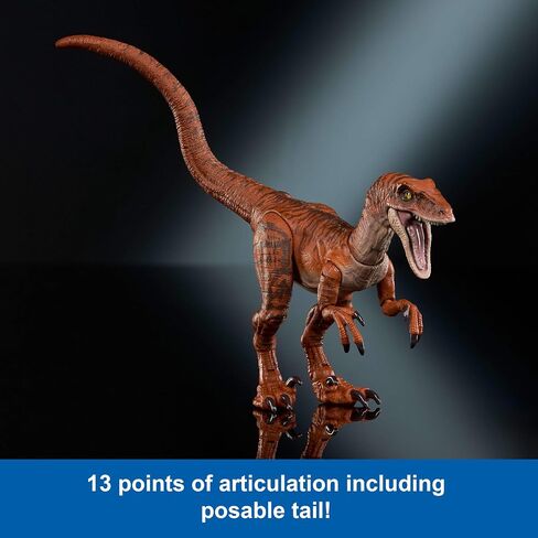 Mattel Jurassic World Hammond Collection Dinosaur Action Figure ، Stygimoloch ، Premium Movie Design Glass Eyes & 14 نقطة مفصلية in Saudi Arabia
