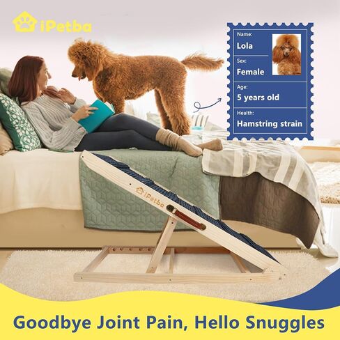 Dog Ramp for Bed Couch Folding Pet Ramps for Small Medium Dogs to Get on Bed, Up to 70 lbs, Adjustable Height 24", 43.3" Long in Kuwait