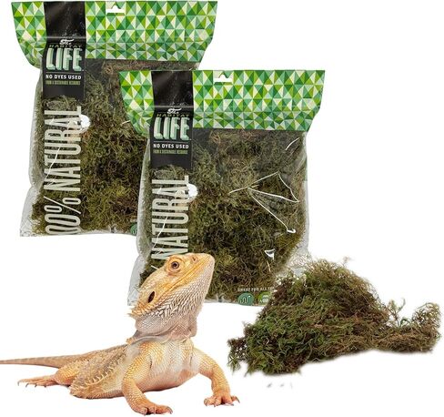 The Habitat Life - Natural Spanish Moss - for Reptiles, Amphibians & Invertebrates Terrariums - Humidity Control - Breathable Bedding - Dye-Free & Safe - Small - 2 Pack in Kuwait