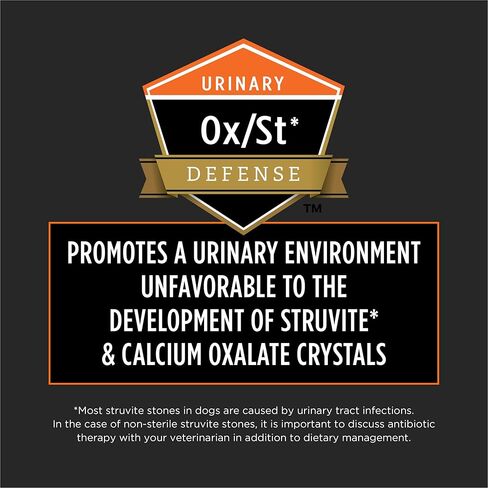 PURINA PRO PLAN PETRINALINAL TIETS OM OD WELOGENGE CANINE Formula Dry Dog Food - 25 LB. BAG in Kuwait