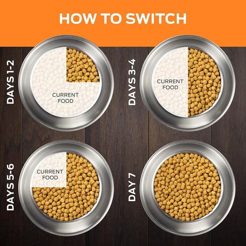 PURINA PRO PLAN PETRINALINAL TIETS OM OD WELOGENGE CANINE Formula Dry Dog Food - 25 LB. BAG in Kuwait