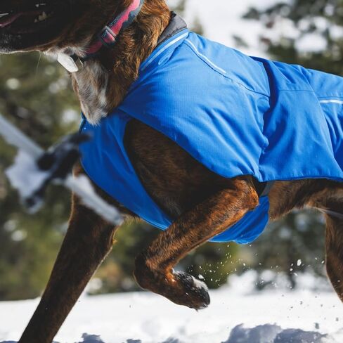Ruffwear, Vert Dog Winter Jacket, Waterproof & Insulated Coat for Cold Weather, Mineral Yellow, Large in Saudi Arabia