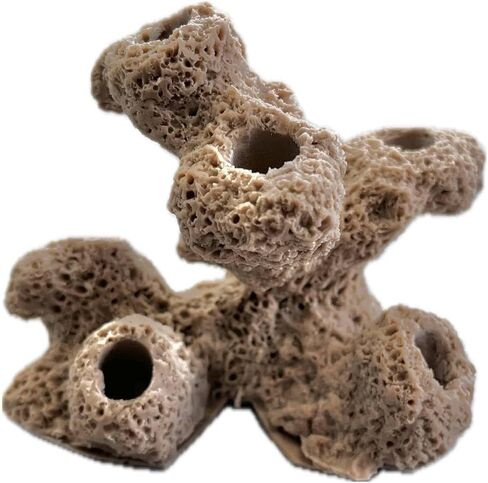 7 حفرة Torch Torch Coral Frag Plug Rack/Frag Rock for Live Coral Plud Ons for Reef Aquariums (Coralline Purple) in Kuwait