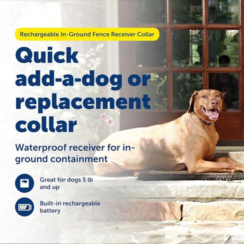 سياج الحيوانات الأليفة القابل لإعادة الشحن من PetSafe للكلاب والقطط التي يزيد وزنها عن 5 أرطال - من الشركة الأم للعلامة التجارية INVISIBLE FENCE - طوق مقاوم للماء مع تصحيح لوني وثابت in Kuwait