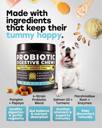 Probiotics for Dogs - PhD Endorsed Digestive Enzymes - Gut Health, Diarrhea & Bowel Support - Dog Treats with Turmeric, Omega-3 & Fiber - Immune Soft 140 Chews - Beef Flavor - Made in USA in Saudi Arabia