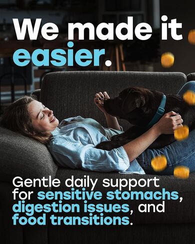 Probiotics for Dogs - PhD Endorsed Digestive Enzymes - Gut Health, Diarrhea & Bowel Support - Dog Treats with Turmeric, Omega-3 & Fiber - Immune Soft 140 Chews - Beef Flavor - Made in USA in Saudi Arabia