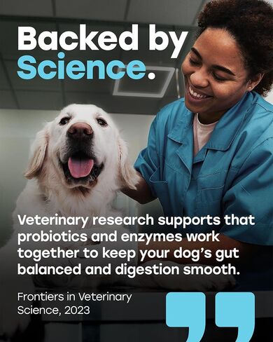 Probiotics for Dogs - PhD Endorsed Digestive Enzymes - Gut Health, Diarrhea & Bowel Support - Dog Treats with Turmeric, Omega-3 & Fiber - Immune Soft 140 Chews - Beef Flavor - Made in USA in Saudi Arabia