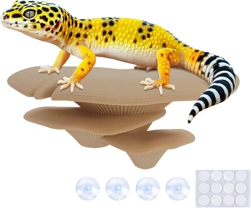 Westant Mushroom Decor for Reptile Tank, Forest, Trio in Kuwait