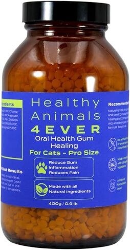 HealthyAnimals4Ever شفاء اللثة لصحة الفم للقطط - يخفف الالتهاب، ويخفف الألم، ويحارب أمراض اللثة - طبيعي، غير معدّل وراثيًا، عضوي - مكمل غذائي خالٍ من الغلوتين والمواد الحافظة والمواد الكيميائية - 300 قيراط in Kuwait
