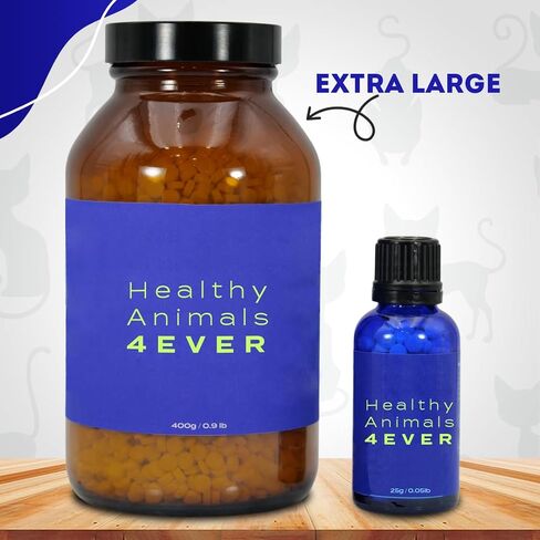 HealthyAnimals4Ever شفاء اللثة لصحة الفم للقطط - يخفف الالتهاب، ويخفف الألم، ويحارب أمراض اللثة - طبيعي، غير معدّل وراثيًا، عضوي - مكمل غذائي خالٍ من الغلوتين والمواد الحافظة والمواد الكيميائية - 300 قيراط in Kuwait
