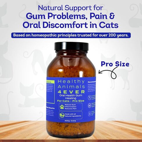 HealthyAnimals4Ever شفاء اللثة لصحة الفم للقطط - يخفف الالتهاب، ويخفف الألم، ويحارب أمراض اللثة - طبيعي، غير معدّل وراثيًا، عضوي - مكمل غذائي خالٍ من الغلوتين والمواد الحافظة والمواد الكيميائية - 300 قيراط in Kuwait