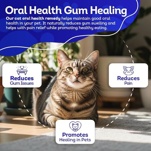 HealthyAnimals4Ever شفاء اللثة لصحة الفم للقطط - يخفف الالتهاب، ويخفف الألم، ويحارب أمراض اللثة - طبيعي، غير معدّل وراثيًا، عضوي - مكمل غذائي خالٍ من الغلوتين والمواد الحافظة والمواد الكيميائية - 300 قيراط in Kuwait