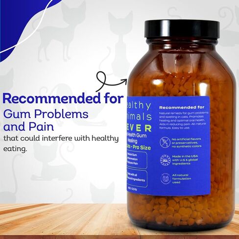 HealthyAnimals4Ever شفاء اللثة لصحة الفم للقطط - يخفف الالتهاب، ويخفف الألم، ويحارب أمراض اللثة - طبيعي، غير معدّل وراثيًا، عضوي - مكمل غذائي خالٍ من الغلوتين والمواد الحافظة والمواد الكيميائية - 300 قيراط in Kuwait