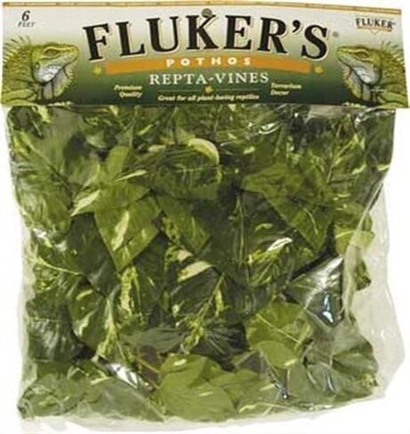 Fluker's Repta Vines for Reptiles and Amphibians Terrariums, English Ivy in Saudi Arabia