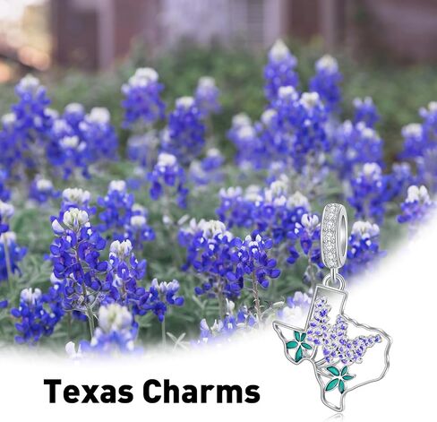 Texas Bluebonnets سحر السوار 925 Sterling Silver State Map Map Jewelry Hometown Texas Gifts for Women Love TX in Saudi Arabia