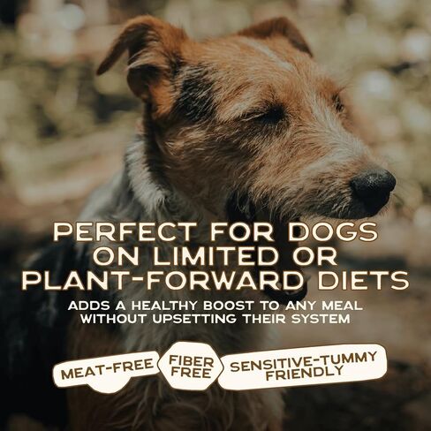Smart Cookie Natural Dog Food Topper - Superfood - Salmon Dog Meal Mixer for All Ages - Food Topper for Picky Eaters and Boosting Nutrition - Non GMO, Made in The USA - 15 oz Bag (30 Day Supply) in Kuwait