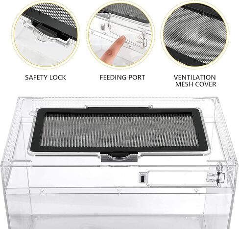 Reptile Terrarium Tank for Traveling, Amphibians Enclosure Starter Kits, Top Sliding Screen Ventilation Habitat Cages, Outdoor Chameleon Lizard Carrier Box with Tweezer, Bowl for Spider, Gecko, Frog in Saudi Arabia