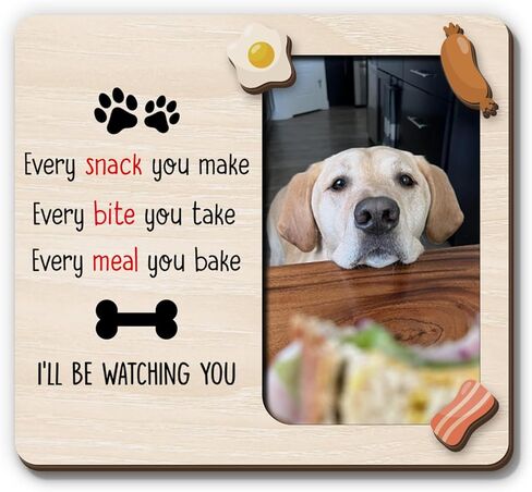 Magnetic Picture Frames - Personal Stalker for Pet Lover, Dog Owner - Unique Magnet Photo Frame for Women, Men - Magnetic Frames for Refrigerator, Locker & More in Saudi Arabia