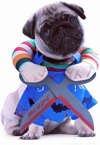 أزياء دمية دمية مميتة للحيوانات الأليفة ، والحيوانات الأليفة المضحكة Cosplay Cosplay Costume Halloween Dog Cloth Assume for Small Medium Express Dogs (Medium) in Kuwait