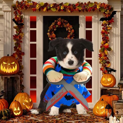 أزياء دمية دمية مميتة للحيوانات الأليفة ، والحيوانات الأليفة المضحكة Cosplay Cosplay Costume Halloween Dog Cloth Assume for Small Medium Express Dogs (Medium) in Kuwait