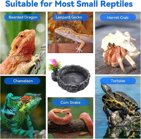 Reptile Water Dish Food Bowl,Corner Rock Terrarium Feeding Bowl Hermit Crab Water,Reptile Feeder Food and Water Dish,Tortoise, Lizard, Gecko, Chameleon, Bearded Dragon in Saudi Arabia