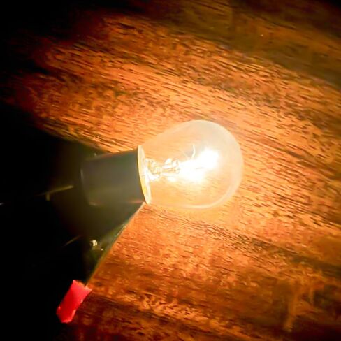 7443 T20 W21/5W 12V 21/5W مصابيح إضاءة عكسية ، 2700K أضواء بيضاء دافئة ، أضواء فرامل التيل أضواء احتياطية أضواء الإشارة ، 2 عبوة in Kuwait