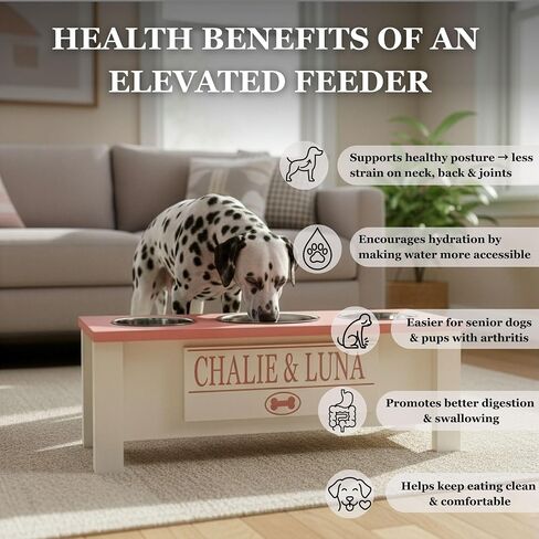 وعاء الكلب الثلاثي المرتفع المخصصة للكلاب الكبيرة ، المتوسطة ، الصغيرة ، x -small - 3 طعام من الفولاذ المقاوم للصدأ وأوعية الماء - طبق الكلاب المرتفع مع التخزين الداخلي (كبير ، بني) in Kuwait