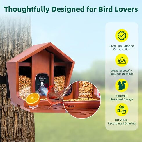 تغذية الطيور الذكية مع الكاميرا بالطاقة الشمسية التعرف على 10،000+ Bird 2K UHD Video Live Fruct Arrival تنبيهات واكتشاف الحركة في الوقت الفعلي للعشاق لعشاق الطيور في الهواء الطلق in Kuwait