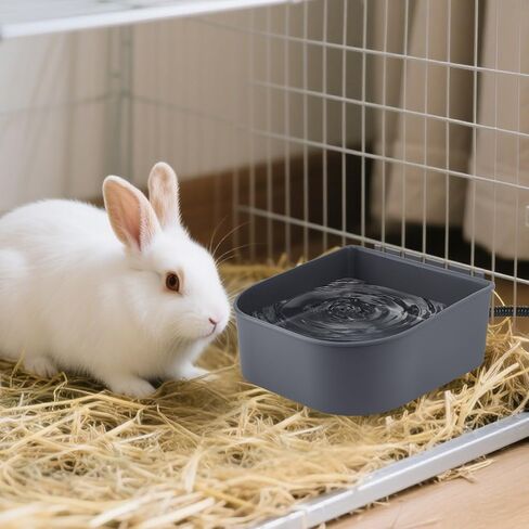 PETLESO Heated Water Bowl for Dog, Heated Dog Bowl for Cats Birds Chicken Water Heater, Outdoor Dog Bowl Provides Drinkable Water in Frozon Winter, 0.58 Gallon in Kuwait