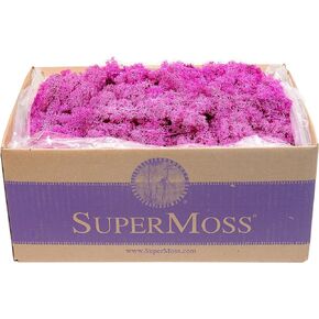 SuperMoss (23099) Reindeer Moss Preserved Box, 3 lb, Pink