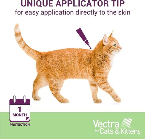 فيكترا للقطط التي يزيد وزنها عن 9 رطل، 3 جرعات باللون الأخضر من سيفا in Kuwait