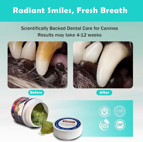 مسحوق العناية بأسنان الكلاب - مزيل البلاك من كوليز للأسنان، يتميز بمسحوق تنظيف الأسنان العشبي ومعطر أنفاس الكلاب للحصول على فم مثالي وصحة أسنان ولثة مشرقة. (30 يومًا لكلاب) in Kuwait