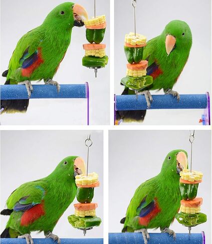 URBEST Bird Food Holder, Bird Feeders, Stainless Steel Parrot Fruit Vegetable Stick Holder, Bird Treat Skewer (Small+Large) in Kuwait