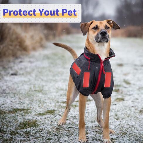 شريط تحذير عاكس للسلامة من ORYOUGO، شريط عالي الكثافة - شريط خطر ذاتي اللصق - شريط منقط مقاس 2 بوصة للمقطورات، أخضر in Kuwait